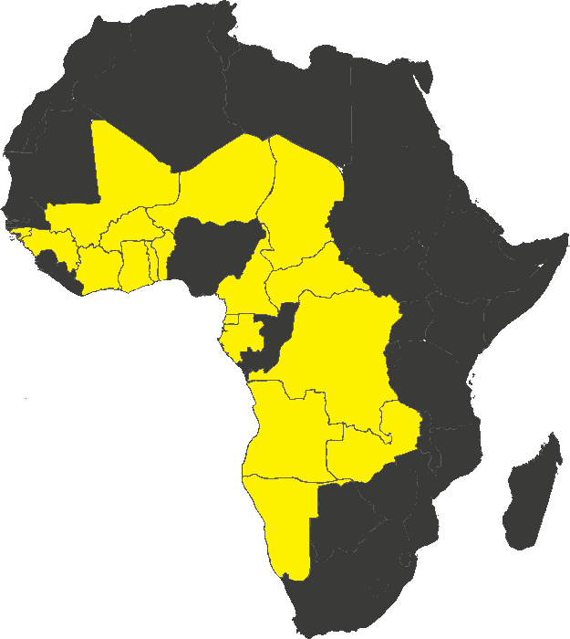 Carte de l'Afrique : les dix-huit pays du territoire sous master franchise Cartridge World apparaissent en jaune.